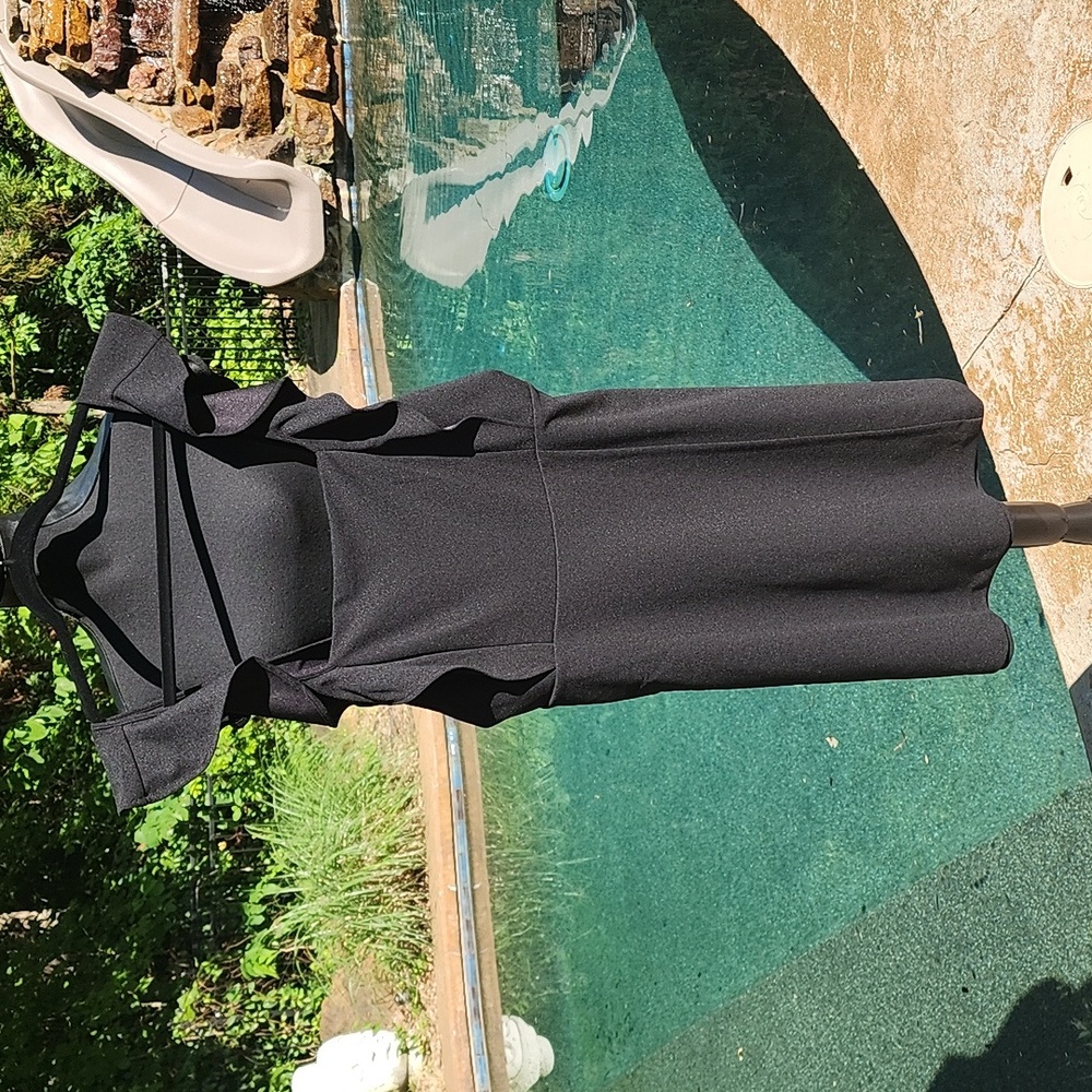 NWT BCBG Paris Short Ruffle  Black Dress Large